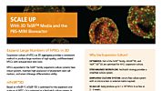 PSC Scale-Up Flyer
