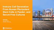 From hPSCs to Immune Cells: Immune Cell Generation from Human Pluripotent Stem Cells in Feeder- and Serum-Free Cultures