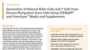 Generation of Natural Killer Cells and T Cells from Human Pluripotent Stem Cells