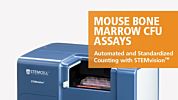 STEMvision™ Automated and Standardized Counting of Mouse Bone Marrow CFU Assays