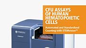 STEMvision™ Automated and Standardized Counting of CFU Assays of Human Hematopoietic Cells