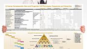 Human Hematopoietic Stem and Progenitor Cell Phenotyping