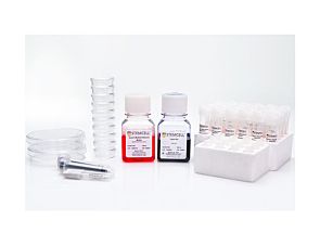 Human Bone Marrow Quality Control Kit