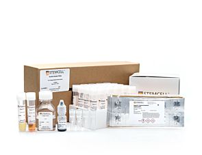 MegaCult™-C Complete Kit with Cytokines