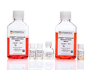 STEMdiff™ Ventricular Cardiomyocyte Differentiation Kit