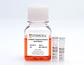 STEMdiff™ Definitive Endoderm Kit