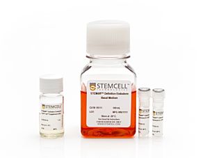 EXCELLENT STEMdiff™ Definitive Endoderm Kit (TeSR™-E8™ Optimized)