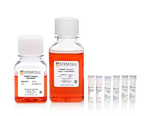 STEMdiff™ Pancreatic Progenitor Kit