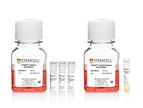 STEMdiff™ Intestinal Organoid Kit