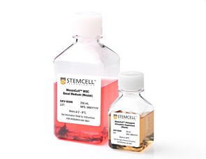 MesenCult™ Osteogenic Stimulatory Kit (Mouse)