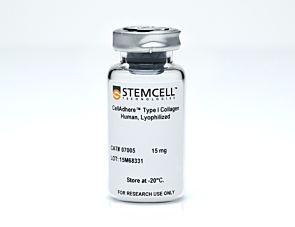 CellAdhere™ Type I Collagen, Human, Lyophilized