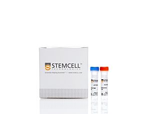 qPCR Master Mix Kit|07516