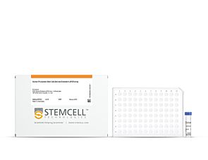 Human Pluripotent Stem Cell-Derived Endoderm qPCR Array|07531