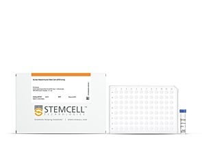 Human Mesenchymal Stem Cell qPCR Array|07541