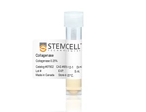 Collagenase Type I (0.25%)