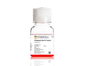 Collagenase Type IV (1 mg/mL)