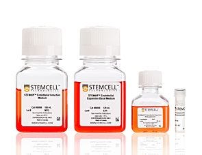 STEMdiff™ Endothelial Differentiation Kit