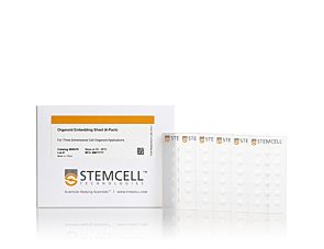 Organoid Embedding Sheet