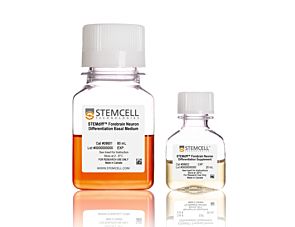 STEMdiff™ Forebrain Neuron Differentiation Kit