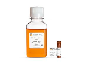 STEMdiff™ Neural Crest Differentiation Kit