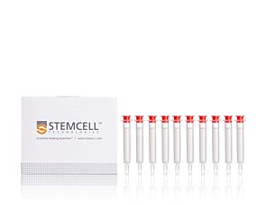 0.5 mL Extracellular Vesicle SEC Columns