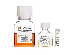 STEMdiff™ Astrocyte Maturation Kit