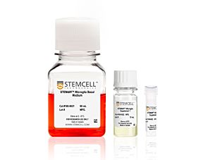 STEMdiff™ Microglia Differentiation Kit