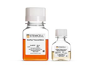 STEMdiff™ Midbrain Neuron Maturation Kit