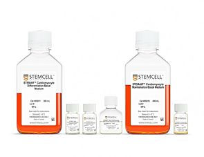 STEMdiff™ Atrial Cardiomyocyte Differentiation Kit