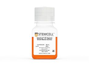 IntestiCult™-SF Organoid Growth Medium (Human)