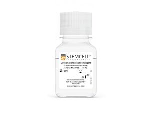 Gentle Cell Dissociation Reagent