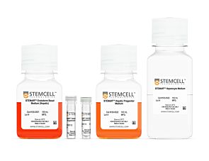 STEMdiff™ Hepatocyte Kit