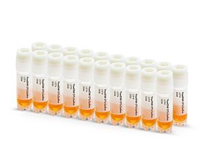 ThawSTAR® CFT2 Confirmation Vials