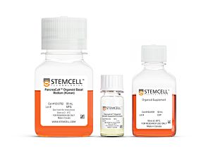 PancreaCult™ Organoid Initiation Medium (Human)|100-0820
