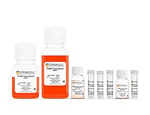 STEMdiff™ Choroid Plexus Organoid Differentiation Kit