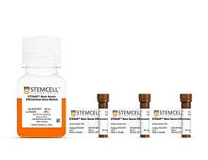 STEMdiff™ Motor Neuron Differentiation Kit