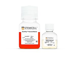 STEMdiff™ Motor Neuron Maturation Kit