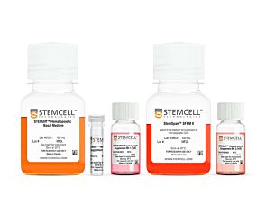 STEMdiff™ Megakaryocyte Kit