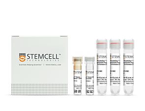 Complete Kit for Human Whole Blood CD34+ Cells|15086