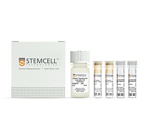 EasySep™ HLA Chimerism Buffy Coat CD56 Positive Selection Kit|17875