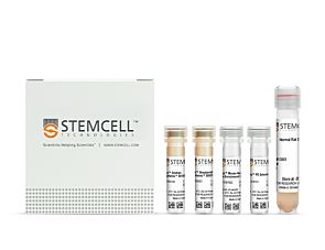 EasySep™ Mouse CD4+CD62L+ T Cell Isolation Kit|18765