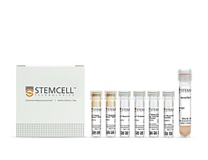 EasySep™ Mouse CD4+CD25+ Regulatory T Cell Isolation Kit II|18783