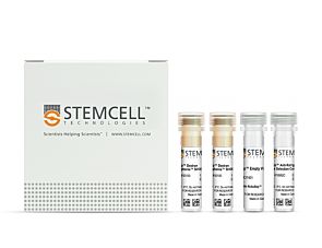 EasySep™ Anti-Rat IgG2b Positive Selection Kit|18992