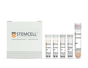 EasySep™ Mouse Neutrophil Enrichment Kit|19762
