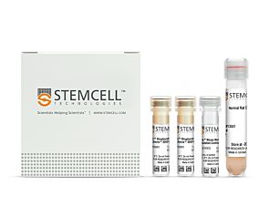 EasySep™ Mouse Memory CD4+ T Cell Isolation Kit|19767