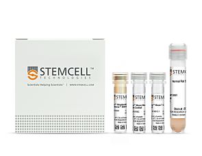 EasySep™ Mouse Pan-Naïve T Cell Isolation Kit|19848