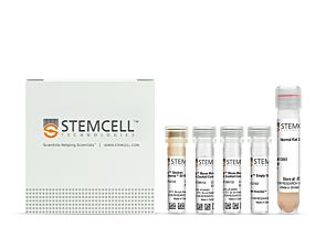 EasySep™ Mouse Monocyte Isolation Kit|19861