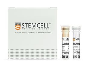 EasySep™ Mouse Pan-DC Enrichment Kit II