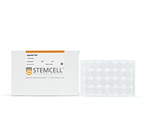 AggreWell™800 24-well plate|34811