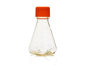 Corning® Disposable Erlenmeyer Flask